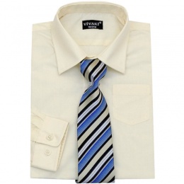 Boys Cream Formal Shirt & Tie Box Set